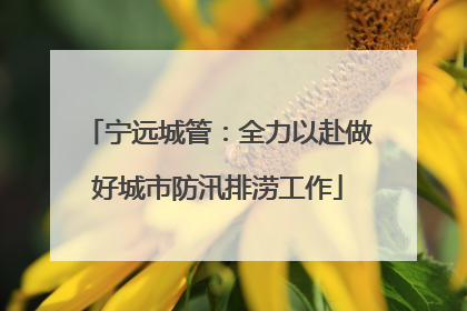 宁远城管：全力以赴做好城市防汛排涝工作
